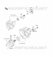VILEBREQUIN pour Kawasaki KLX250 2009
