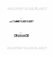STICKER (BLACK)(SILVER)(WHITE) pour Kawasaki J300 2014