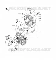 CARTER MOTEUR(S) pour Kawasaki VN800 1999