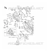 COUVERCLES MOTEUR pour Kawasaki TERYX 750 FI 4X4 2012