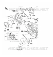 COUVERCLES MOTEUR pour Kawasaki TERYX 750 FI 4X4 LE 2010