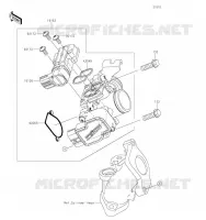 CARBU pour Kawasaki Z125 PRO 2019