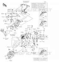 ECOPE pour Kawasaki Z900 2019