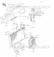 RADIATEUR pour Kawasaki Z900 2019