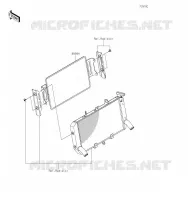 Accessory(Radiator Guard) pour Kawasaki Z900RS 2019