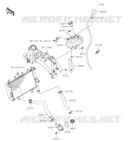 TUYAU D'EAU pour Kawasaki Z400 2021