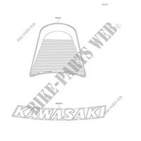 ACCESSOIRE(Decals) pour Kawasaki Z900RS 2021