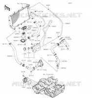 TUYAU D'EAU pour Kawasaki Z900RS 2020
