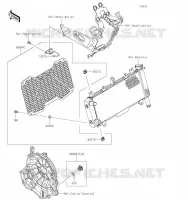 ACCESSOIRE(Radiator Screen and Cap) pour Kawasaki Z650RS 2023
