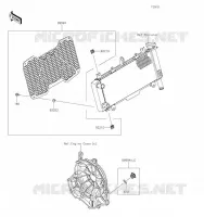 ACCESSOIRE(Radiator Screen and Cap) pour Kawasaki Z650 2023