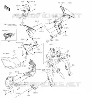 ECOPE pour Kawasaki Z650 2023