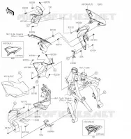 ECOPE pour Kawasaki Z650 2023