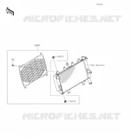 ACCESSOIRE(Radiator Screen) pour Kawasaki NINJA 400 2020