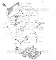 TUYAU D'EAU pour Kawasaki Z900RS SE 2023