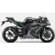 1000 2019 NINJA ZX-10R SE ZX1002HKF